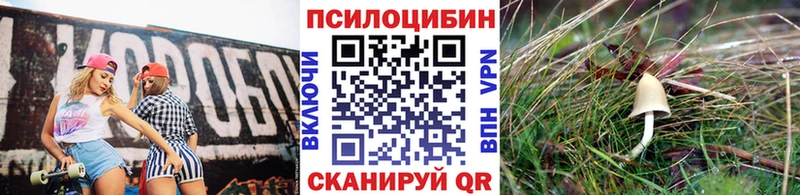 Галлюциногенные грибы прущие грибы  Тольятти 