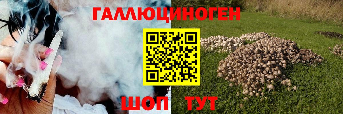 Тольятти  Псилоцибиновые грибы мухоморы  Вход с VPN 